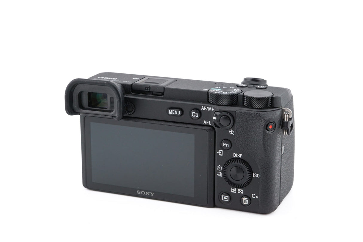 Sony A6600 