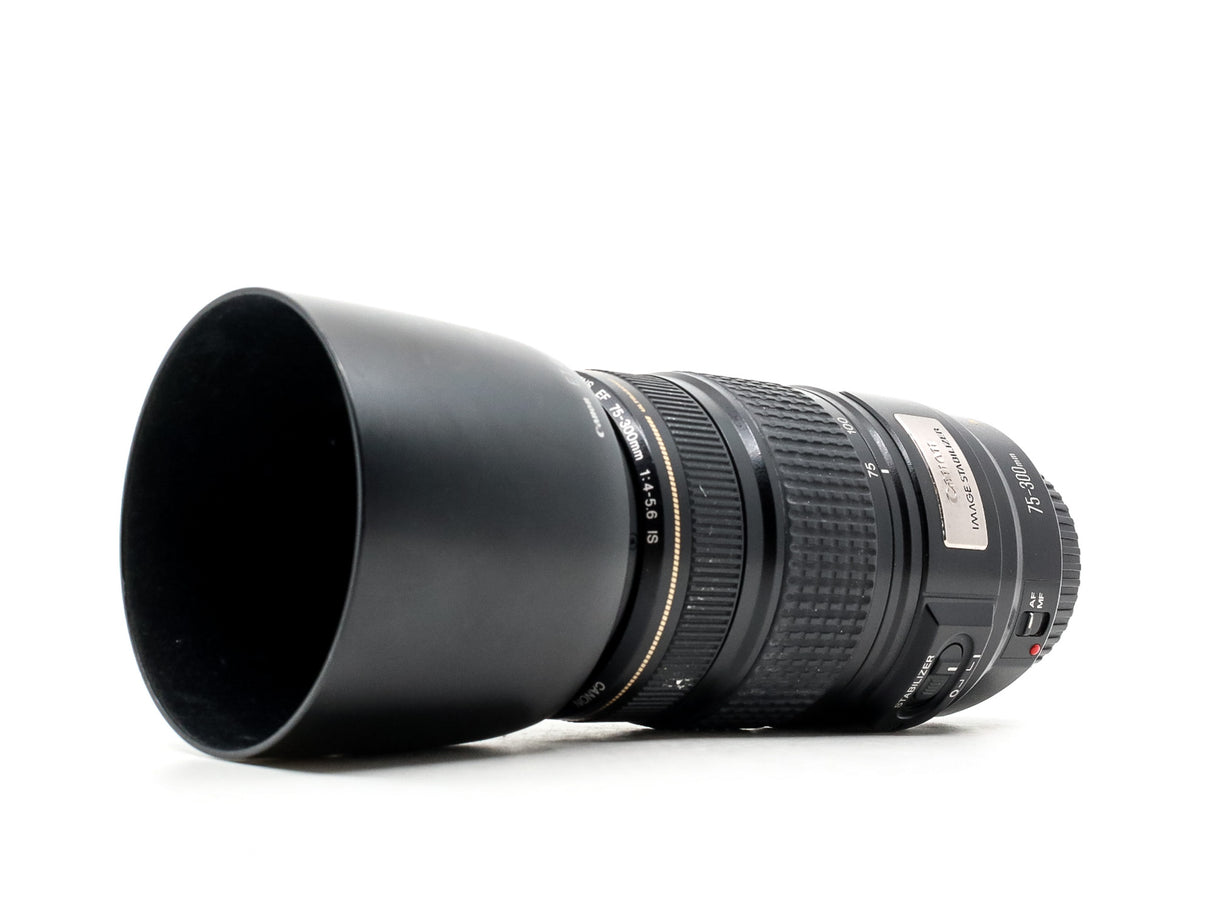 Canon EF 75-300mm f/4-5.6 IS USM 