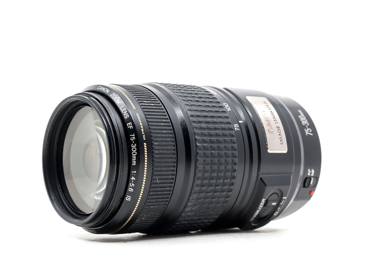 Canon EF 75-300mm f/4-5.6 IS USM 