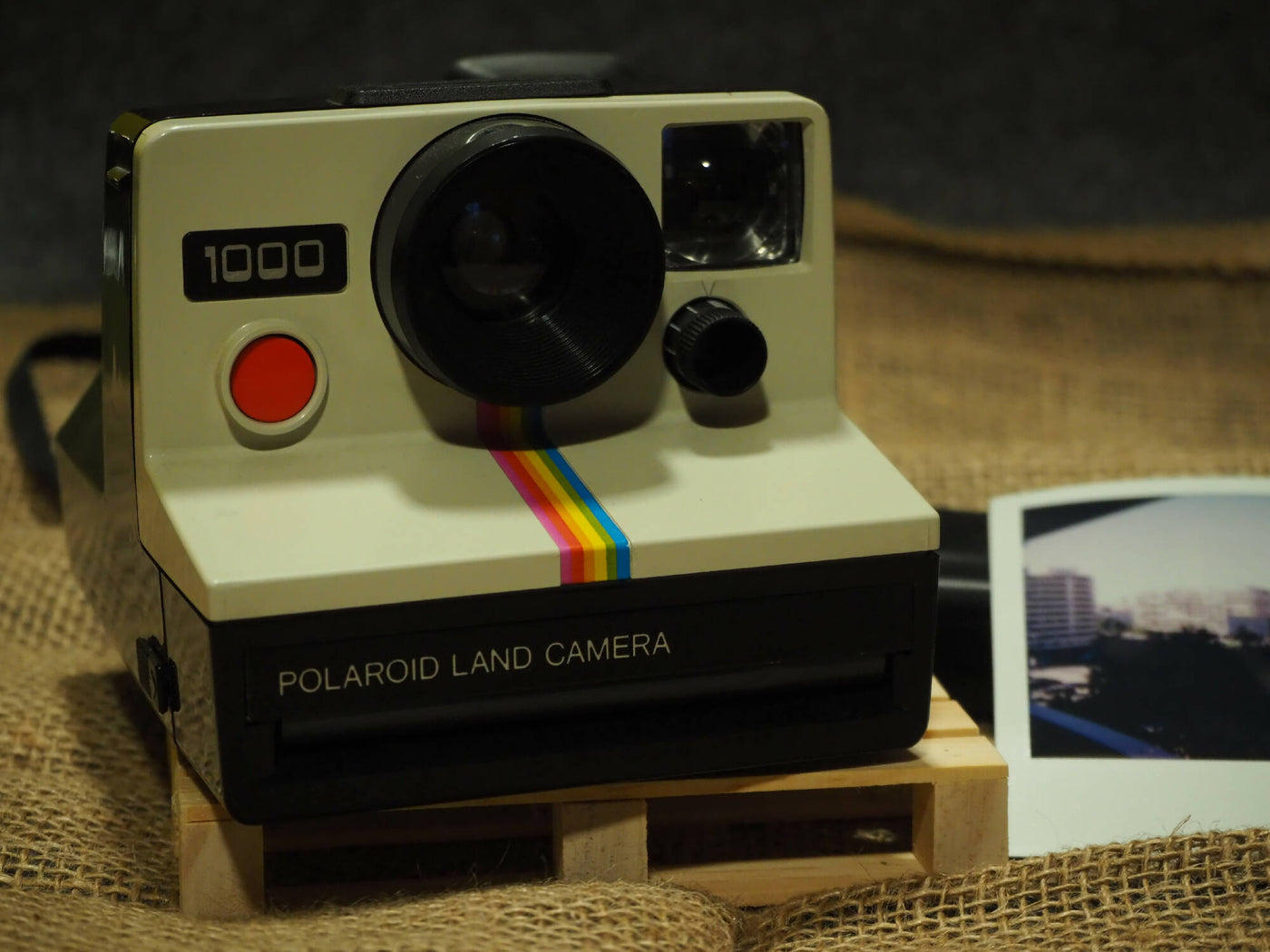 Polaroid Land Camera 1000 · main image